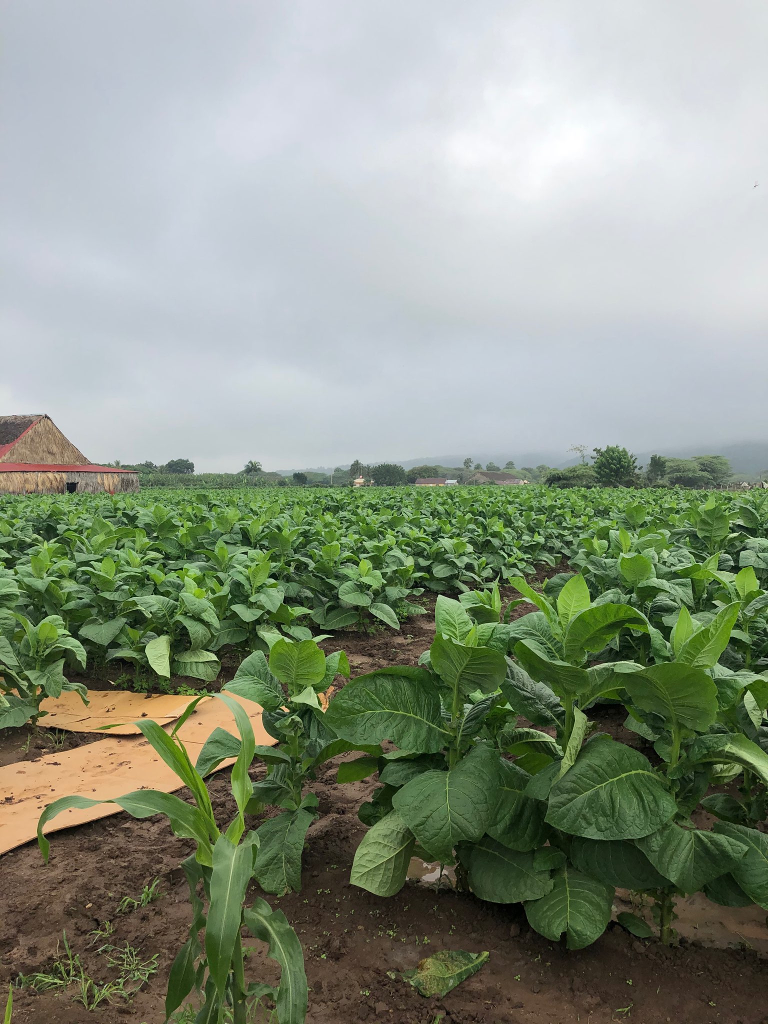 Georgina\'s trip to the Dominican Republic